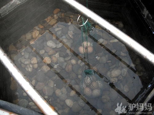 黄 山醉温 泉 全程探访古徽州的新“醉爱”24