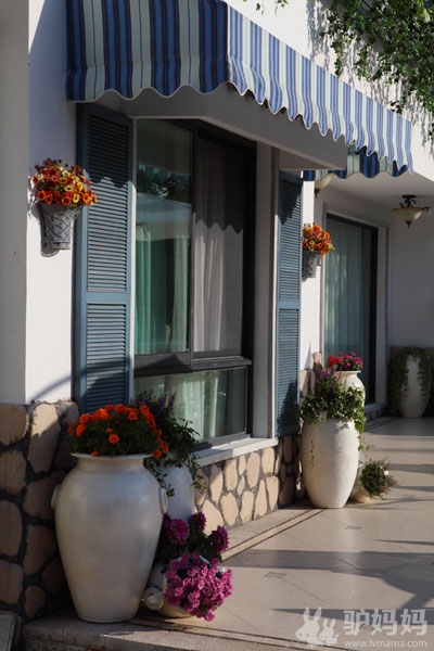 隐居西湖白乐桥片区-来自地中海的原生态气息1