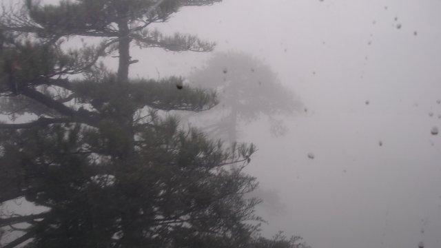 Amazing黄山之旅3