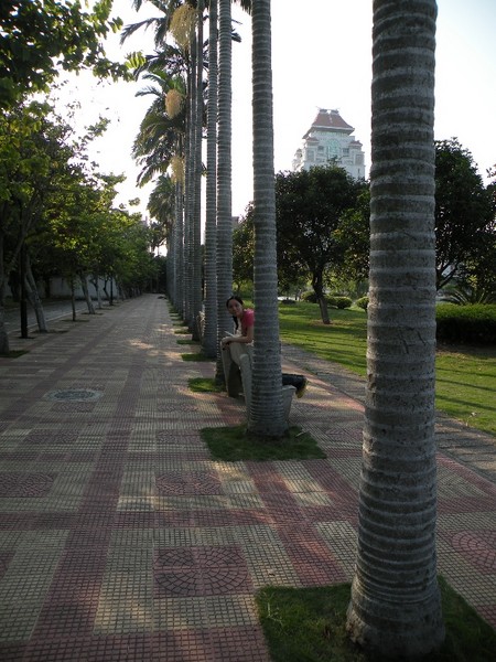 2008忆——琴岛光年(一)10