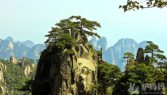 披星“戴”月攀登黄山巅峰8