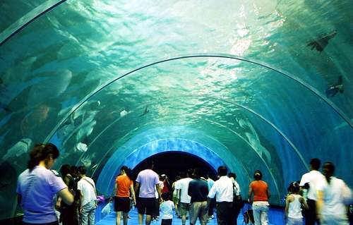 十一青岛旅游:十一青岛旅游景点线路攻略5