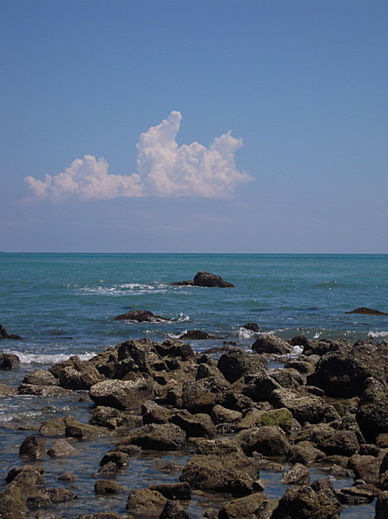 海滩,海鲜——怀念我的三亚自由行12