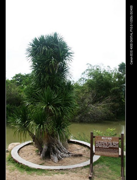 三亚之2010年中秋16