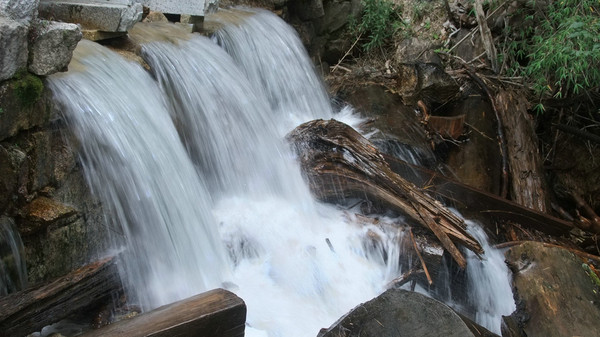 兔眼看青藏——卡定沟9