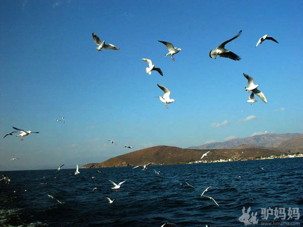 懒在大理，虚度光阴才是正经事6