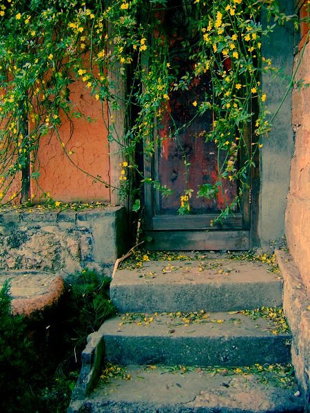 丽江的17 种表情9