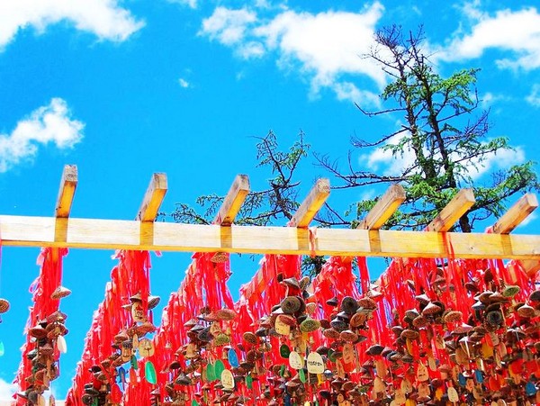 我眼里的丽江22