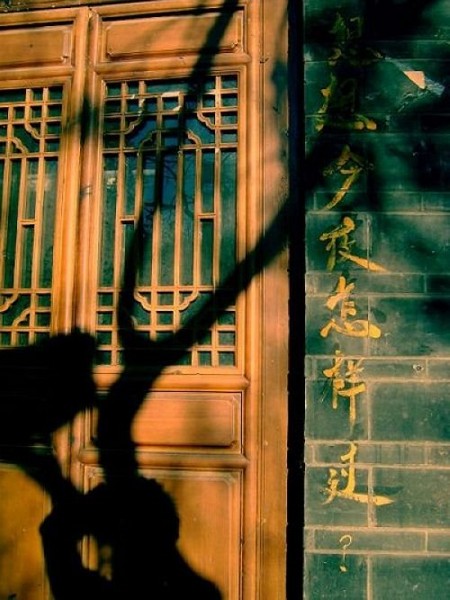 丽江的17 种表情5