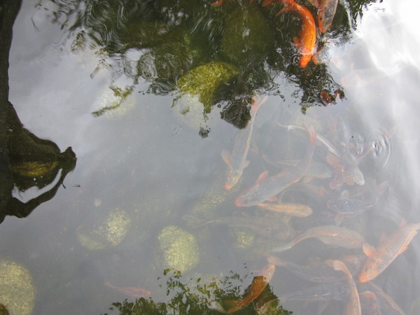 彩云之南——大理的风花雪月16