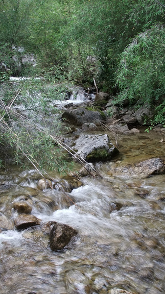 兔眼看青藏——卡定沟5