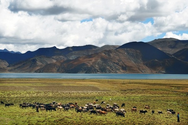 老独走西藏--高原圣湖--羊卓雍错9