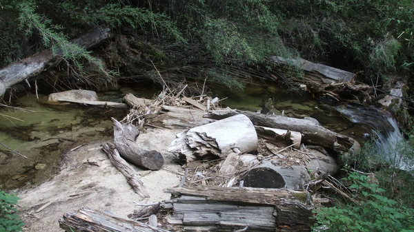 兔眼看青藏——卡定沟10