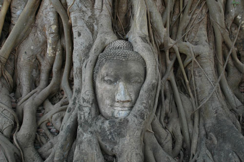 泰国大城印象：活着的是僧侣 死去的是城市2