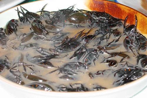 胆小慎入！看着恶心的泰国美食(组图)3