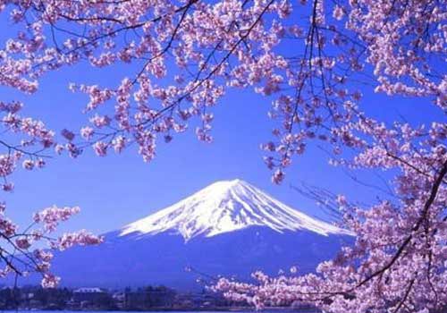 日本旅游不可错过七大奇迹6
