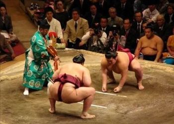 肥胖的美——日本相扑2