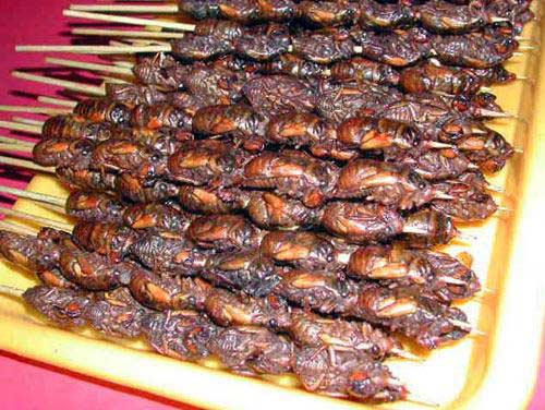 胆小慎入！看着恶心的泰国美食(组图)5