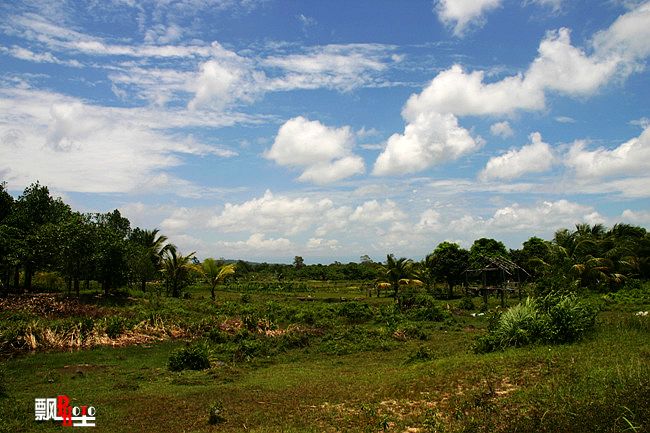 柬埔寨（六）瑞姆国家公园探险14