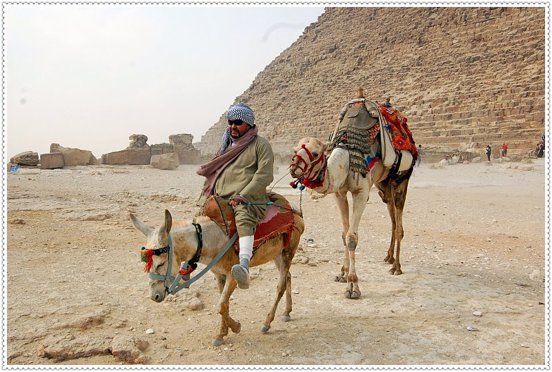 埃及，人生不可错过的地方(照片秀)13