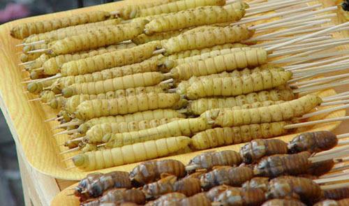 胆小慎入！看着恶心的泰国美食(组图)4