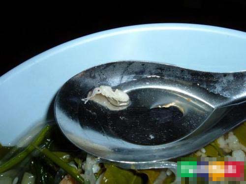 胆小慎入！看着恶心的泰国美食(组图)7
