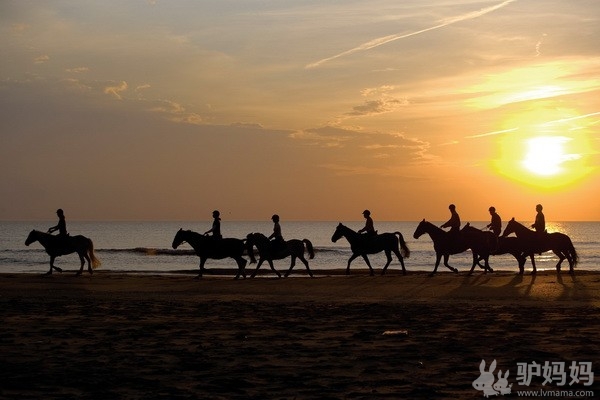 荷兰著名旅游景点:“海上马车夫”4