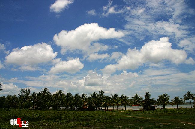 柬埔寨（六）瑞姆国家公园探险15