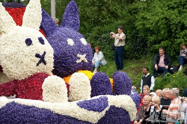 荷兰旅游：郁金香的国度5