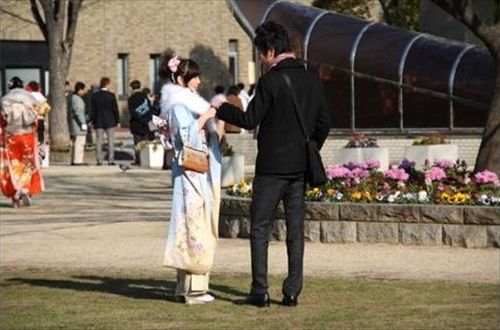 日本路边的“野花”更不能随便采1