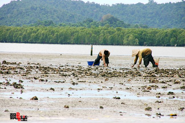 柬埔寨（六）瑞姆国家公园探险4