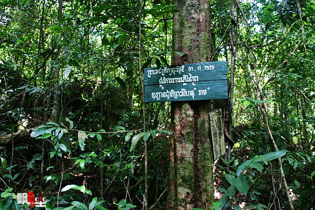 柬埔寨（六）瑞姆国家公园探险12