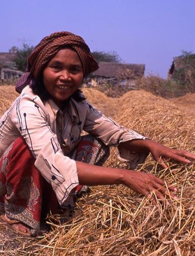 抚过心弦的微风 柬埔寨寻梦之旅11