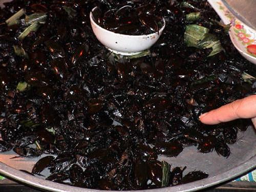 胆小慎入！看着恶心的泰国美食(组图)10