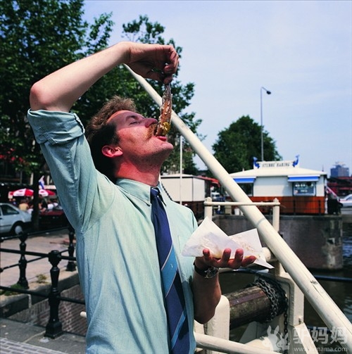 荷兰著名旅游景点:“海上马车夫”9