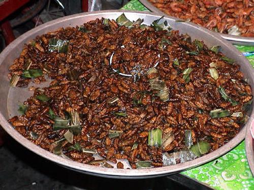 胆小慎入！看着恶心的泰国美食(组图)9