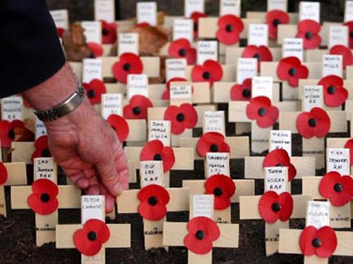 英国极为罕见的罂粟花海3