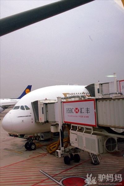 迪拜首发团：迪拜阿联酋航空A380奢华体验，驴妈妈小编独家考察攻略2