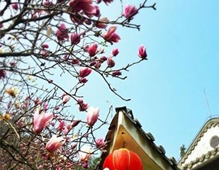 肇庆鼎湖山景区