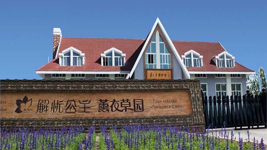 解忧公主薰衣草园