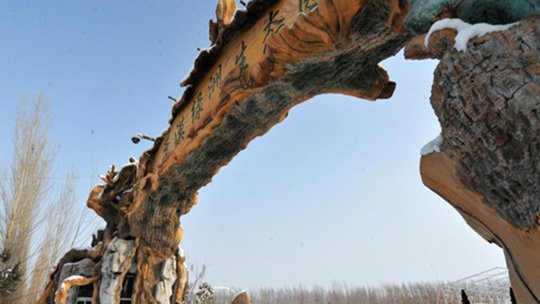 荒漠绿洲生态园