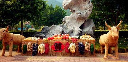 红嘴鸥