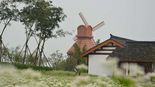 杭州湾海上花田景区