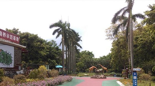 湛江金鹿园