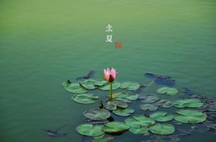 2015立夏时间 2015立夏时间