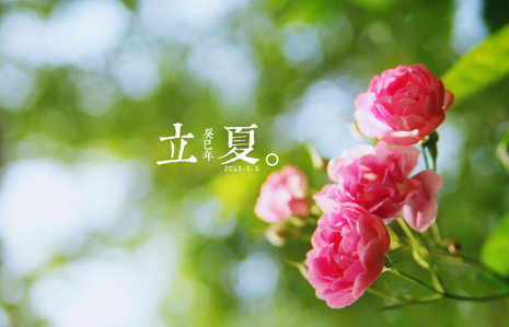 有关立夏的诗句