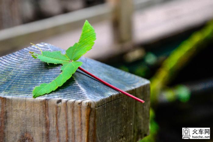 乐在成都，醉在九寨8