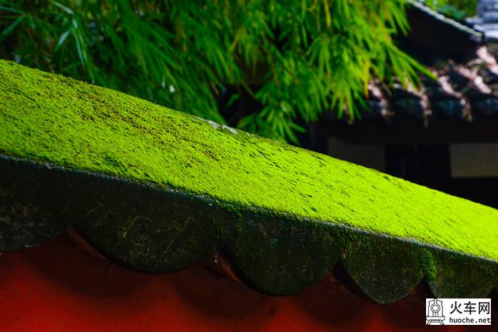 乐在成都，醉在九寨12