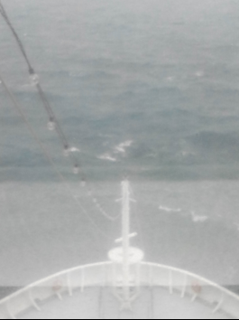 #邮轮旅游#-歌诗达维多利亚号3