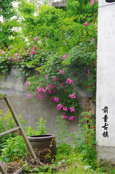 宁波宁海——闲逸前童8